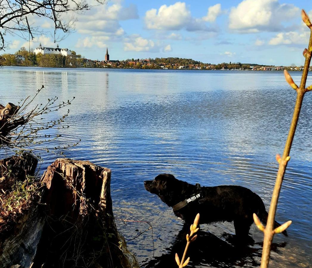 Exklusive Ferienwohnung Strohberg Ploen Luaran gambar
